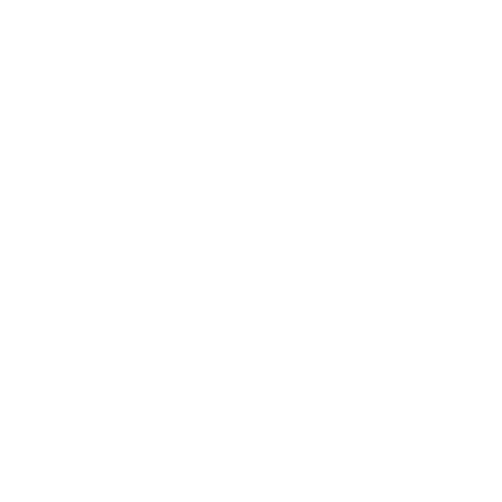 Pura Vida Experiences